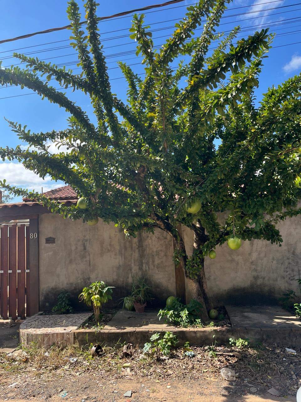 Casa, 3 quartos, 100 m² - Foto 11