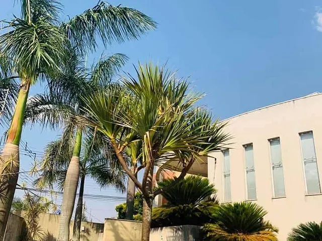 Casa com 1131m² 4 quartos e 5 banheiros, à venda, no bairro Vila Vera Cruz em Apucarana