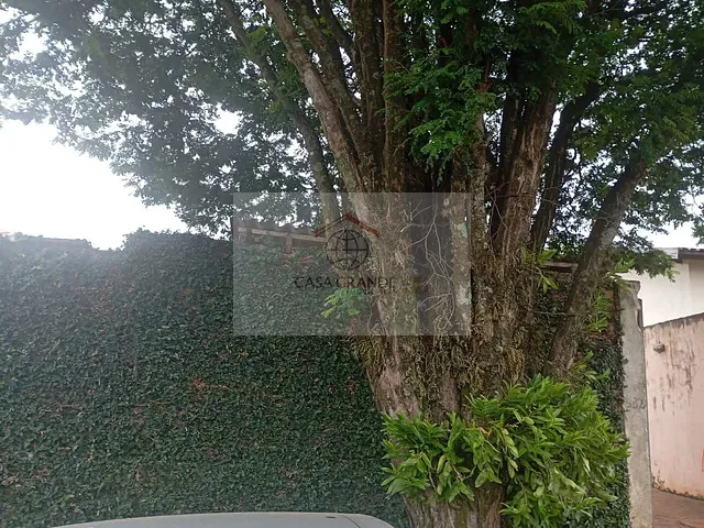 Casa 3 quartos e 1 banheiro, à venda, no bairro Jardim Caviuna em Rolândia