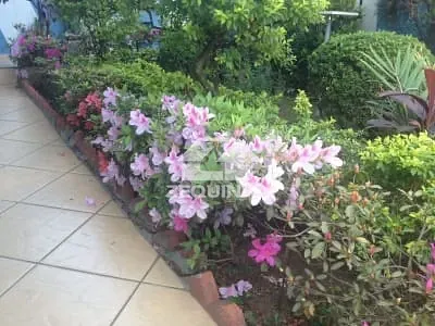 Casa, 4 quartos, 180 m² - Foto 19