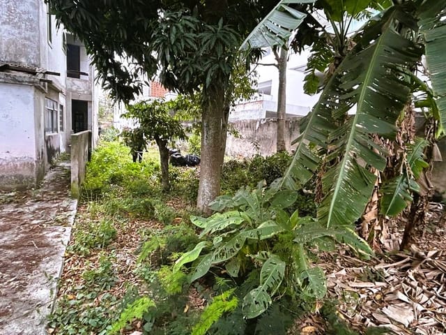 Casa com 613m² 2 quartos e 3 banheiros, à venda, no bairro São Bento em Cabo Frio