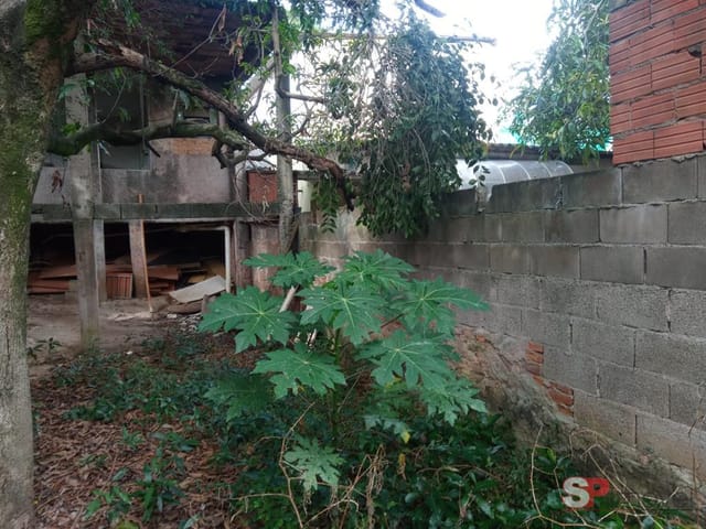 Casa com 228m², à venda, no bairro Jardim Concórdia em São Paulo