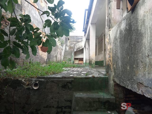 Casa com 228m², à venda, no bairro Jardim Concórdia em São Paulo