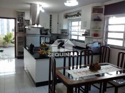 Casa, 3 quartos, 237 m² - Foto 6