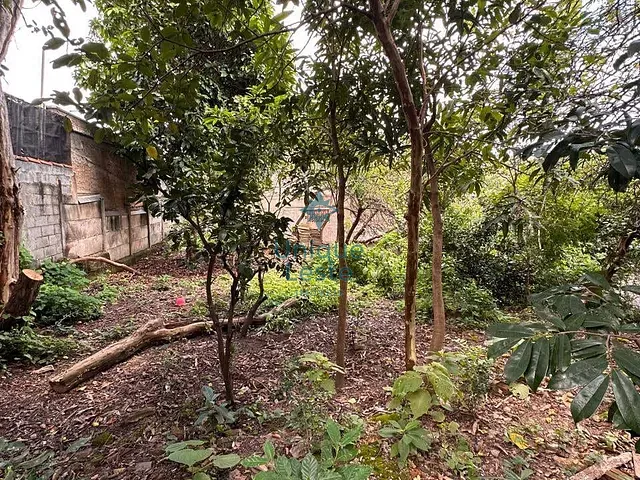 Casa 3 quartos e 1 banheiro, à venda, no bairro Vera Cruz em Belo Horizonte