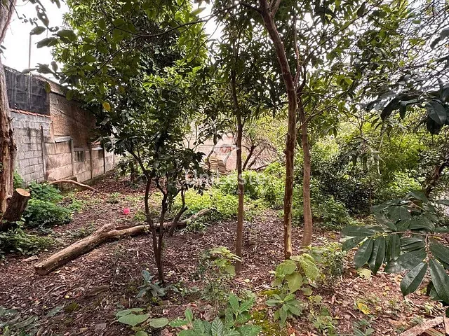 Casa 3 quartos e 1 banheiro, à venda, no bairro Vera Cruz em Belo Horizonte