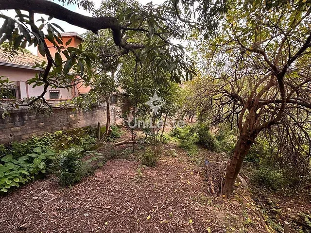 Casa 3 quartos e 1 banheiro, à venda, no bairro Vera Cruz em Belo Horizonte