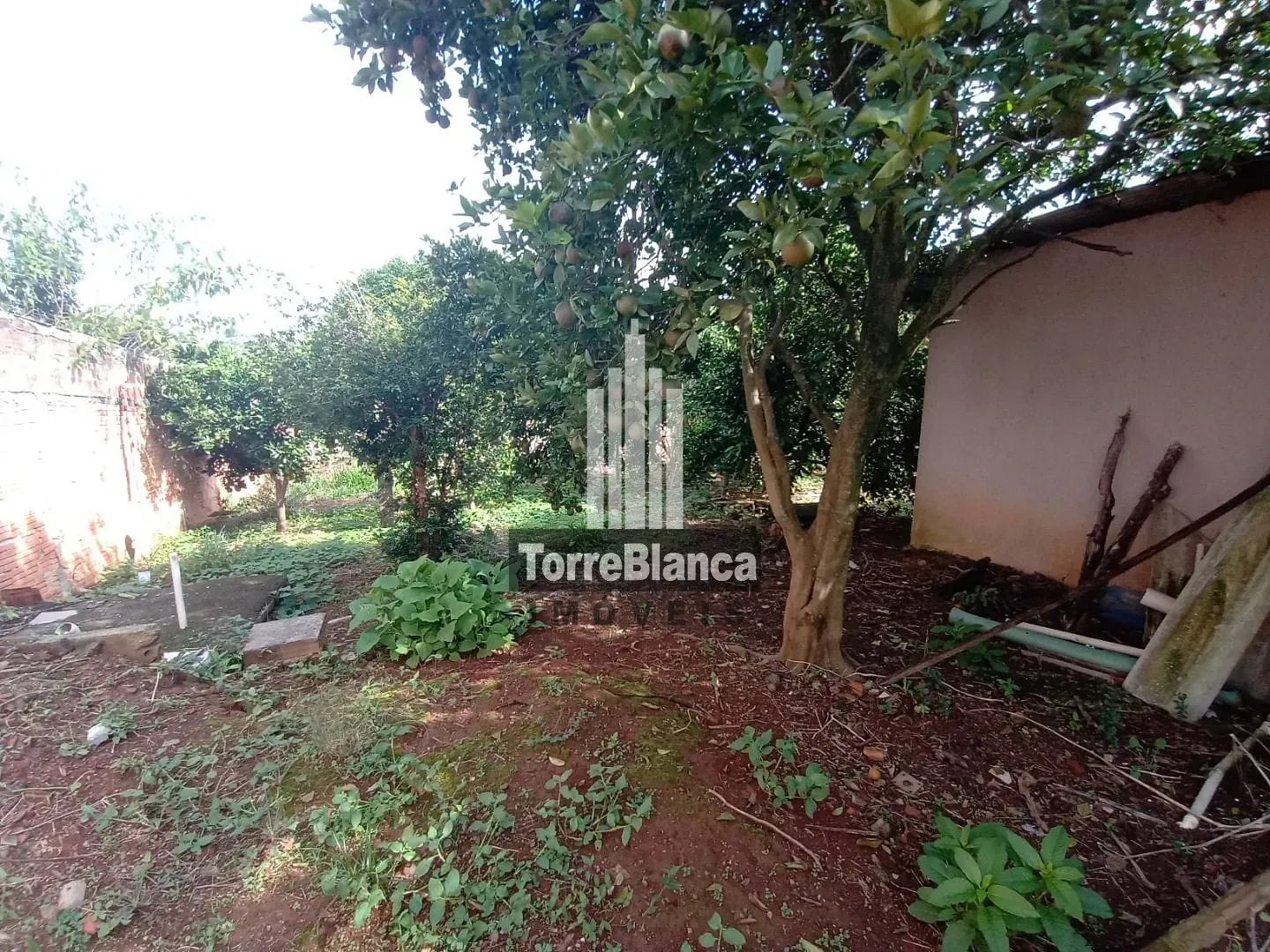 Casa, 4 quartos, 208 m² - Foto 11