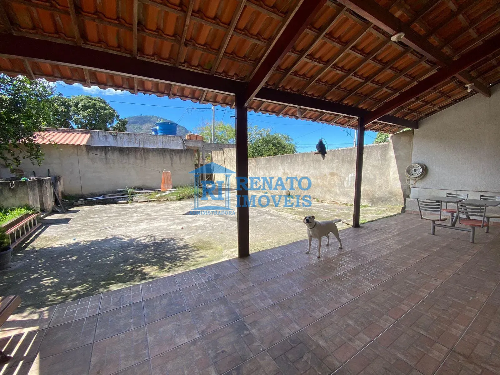 Casa, 4 quartos, 108 m² - Foto 23