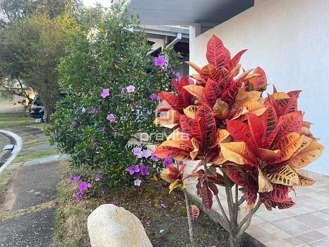 Casa 4 quartos e 1 banheiro, à venda, no bairro Parque São Luís em Taubaté
