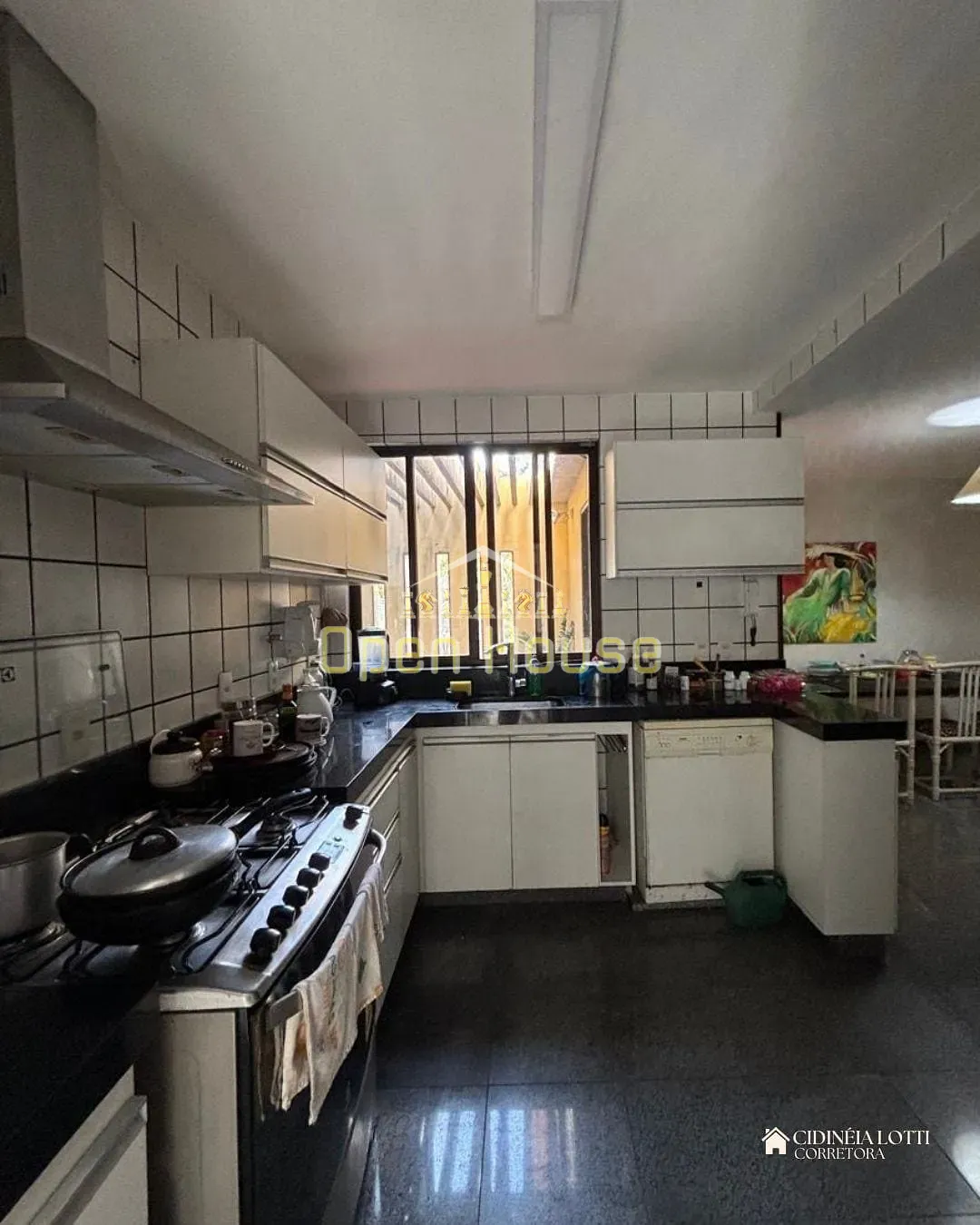 Casa, 4 quartos, 360 m² - Foto 9