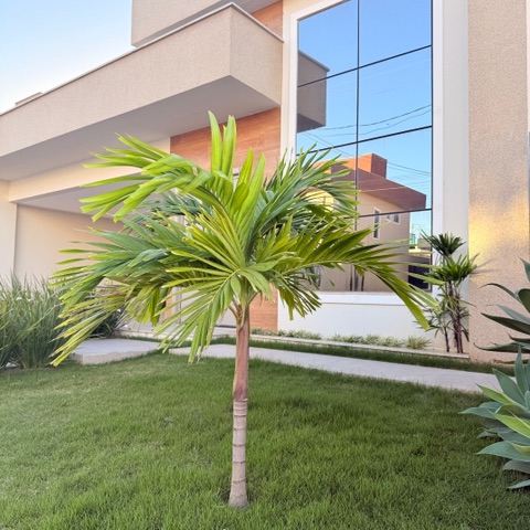 Casa com 360m² 3 quartos e 2 banheiros, à venda, no bairro Nova São Pedro em São Pedro da Aldeia