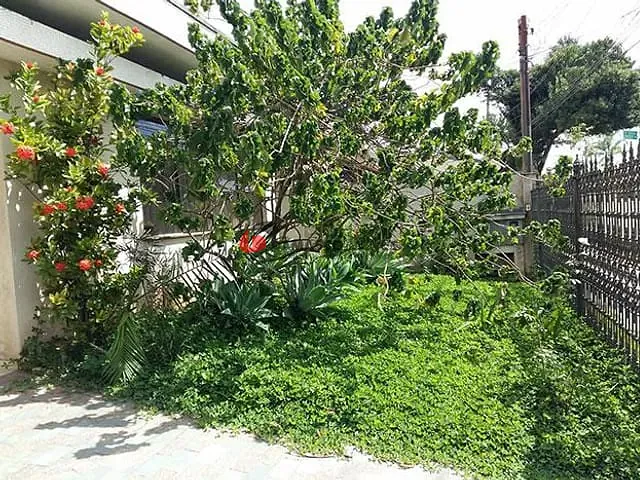 Casa com 462m² 3 quartos e 1 banheiro, à venda, no bairro Jardim São Caetano em São Caetano do Sul