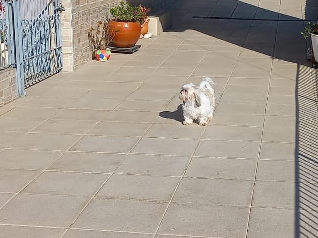 Casa com 360m² 3 quartos e 2 banheiros, à venda, no bairro São Basilio Magno em União da Vitória