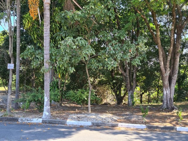 Casa com 250m² 3 quartos e 2 banheiros, à venda, no bairro Conjunto Habitacional Terra dos Ipês I (Norte) em Pindamonhangaba