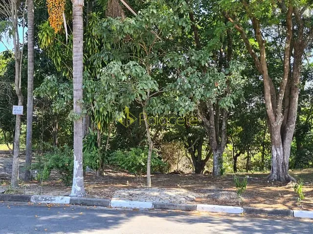 Casa com 250m² 3 quartos e 2 banheiros, à venda, no bairro Conjunto Habitacional Terra dos Ipês I (Norte) em Pindamonhangaba