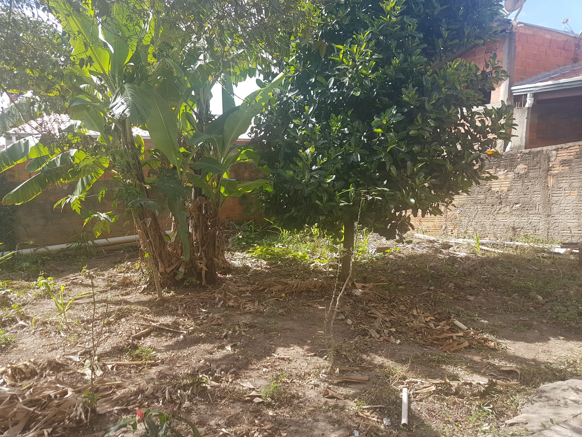 Casa, 3 quartos, 150 m² - Foto 6
