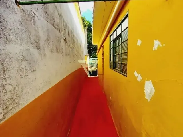 Casa com 26950m² 3 quartos e 1 banheiro, à venda, no bairro Vila Albertina em Ribeirão Preto