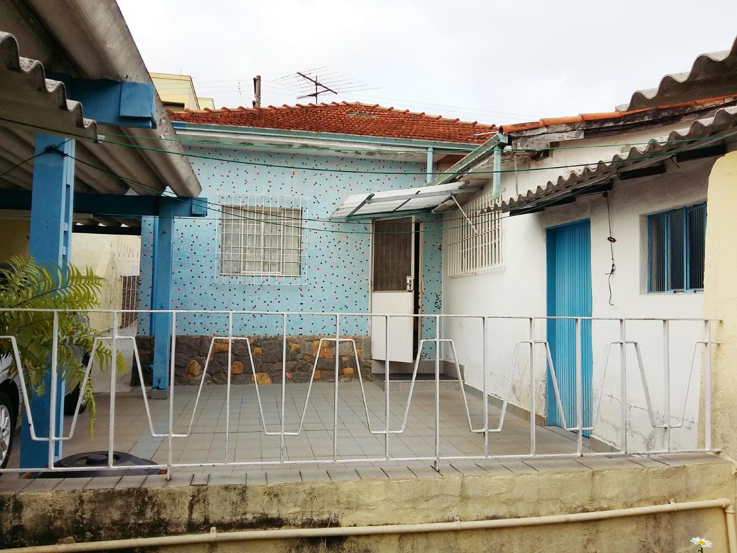 Miniatura