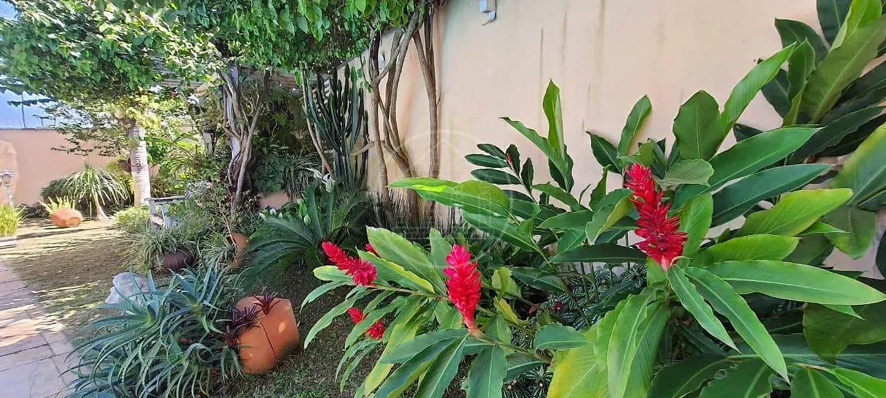 Casa, 3 quartos, 632 m² - Foto 35
