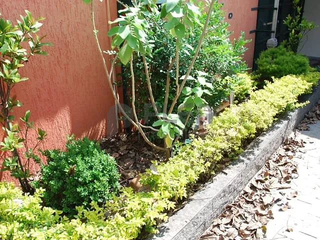 Casa à venda, no bairro Água Fria em São Paulo