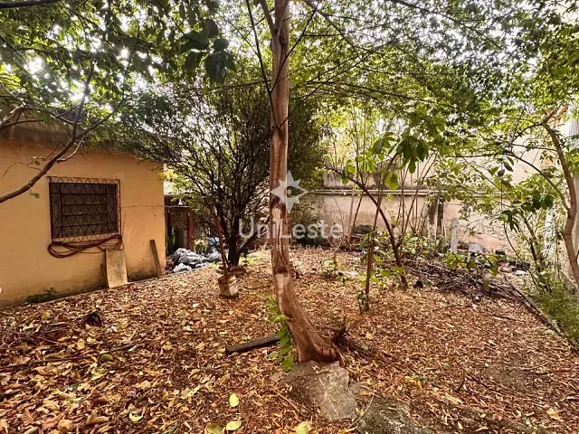 Casa 3 quartos e 1 banheiro, à venda, no bairro Santa Efigênia em Belo Horizonte