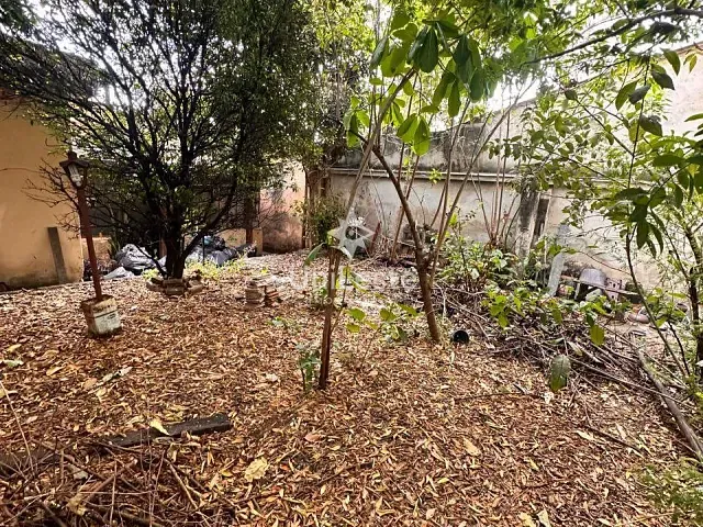 Casa 3 quartos e 1 banheiro, à venda, no bairro Santa Efigênia em Belo Horizonte