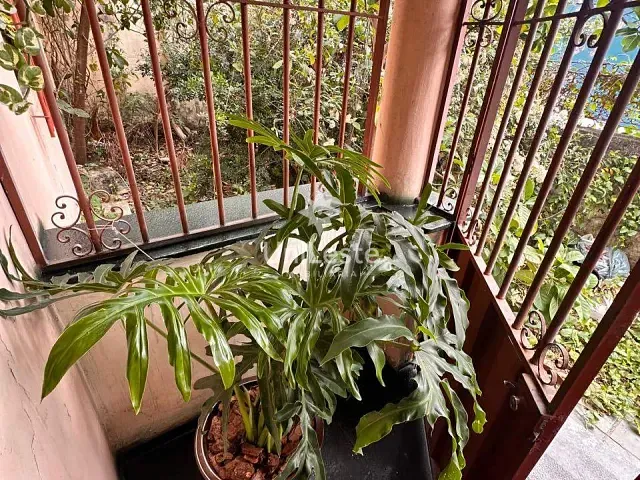 Casa 3 quartos e 1 banheiro, à venda, no bairro Santa Efigênia em Belo Horizonte