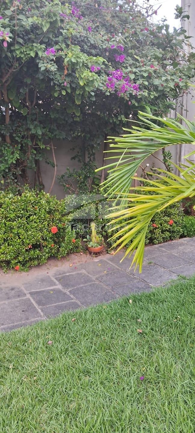 Casa, 5 quartos, 250 m² - Foto 35