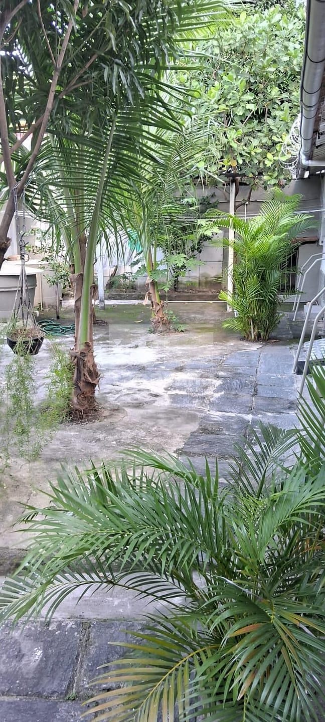 Casa, 5 quartos, 250 m² - Foto 5