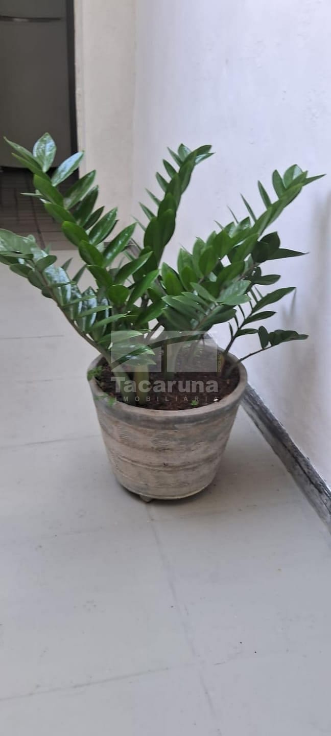 Casa, 5 quartos, 250 m² - Foto 31