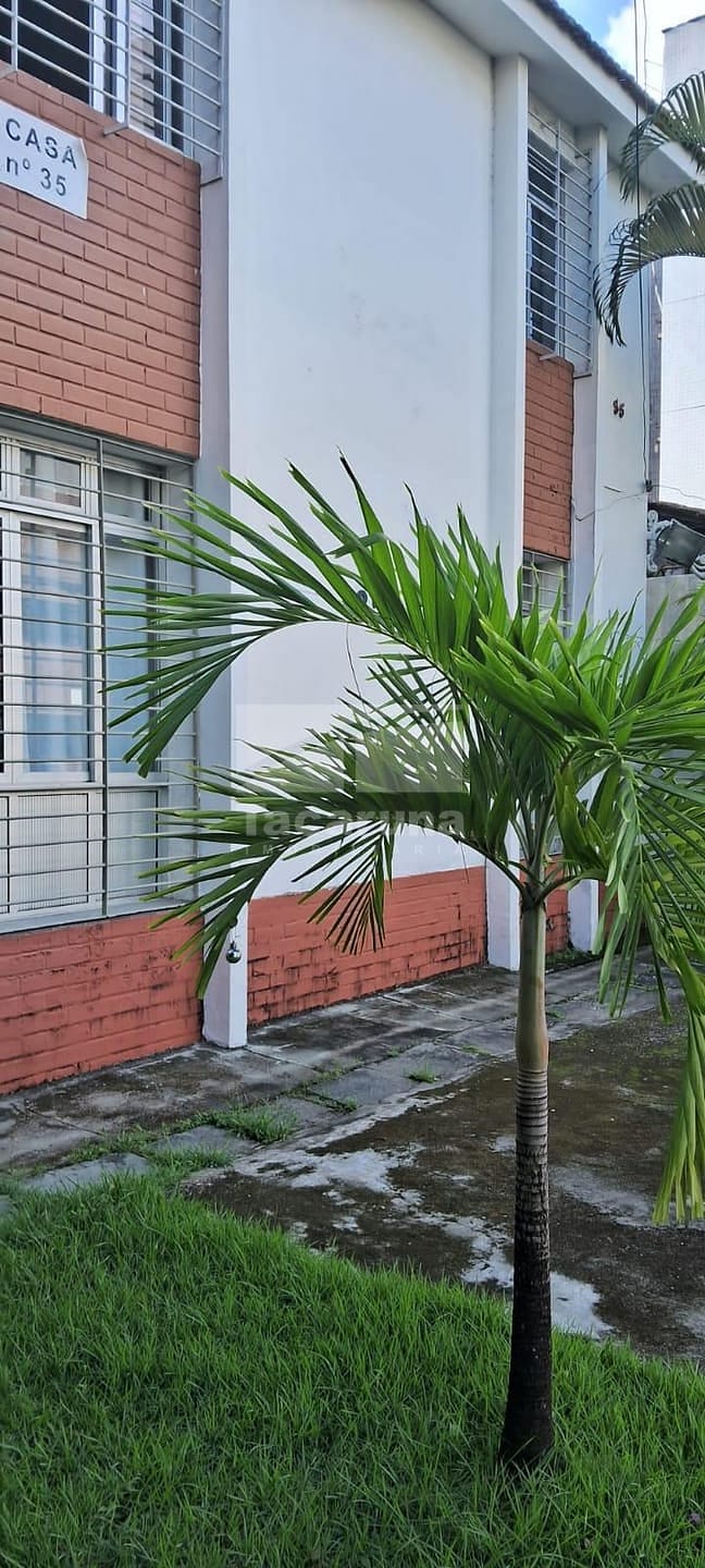 Casa, 5 quartos, 250 m² - Foto 34