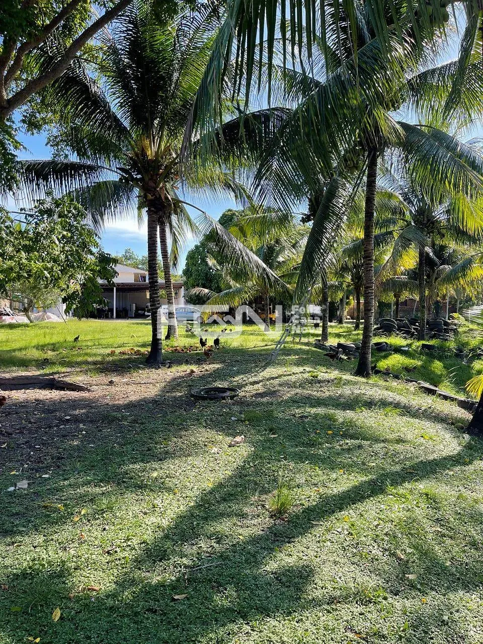 Casa, 2 quartos, 5000 m² - Foto 1