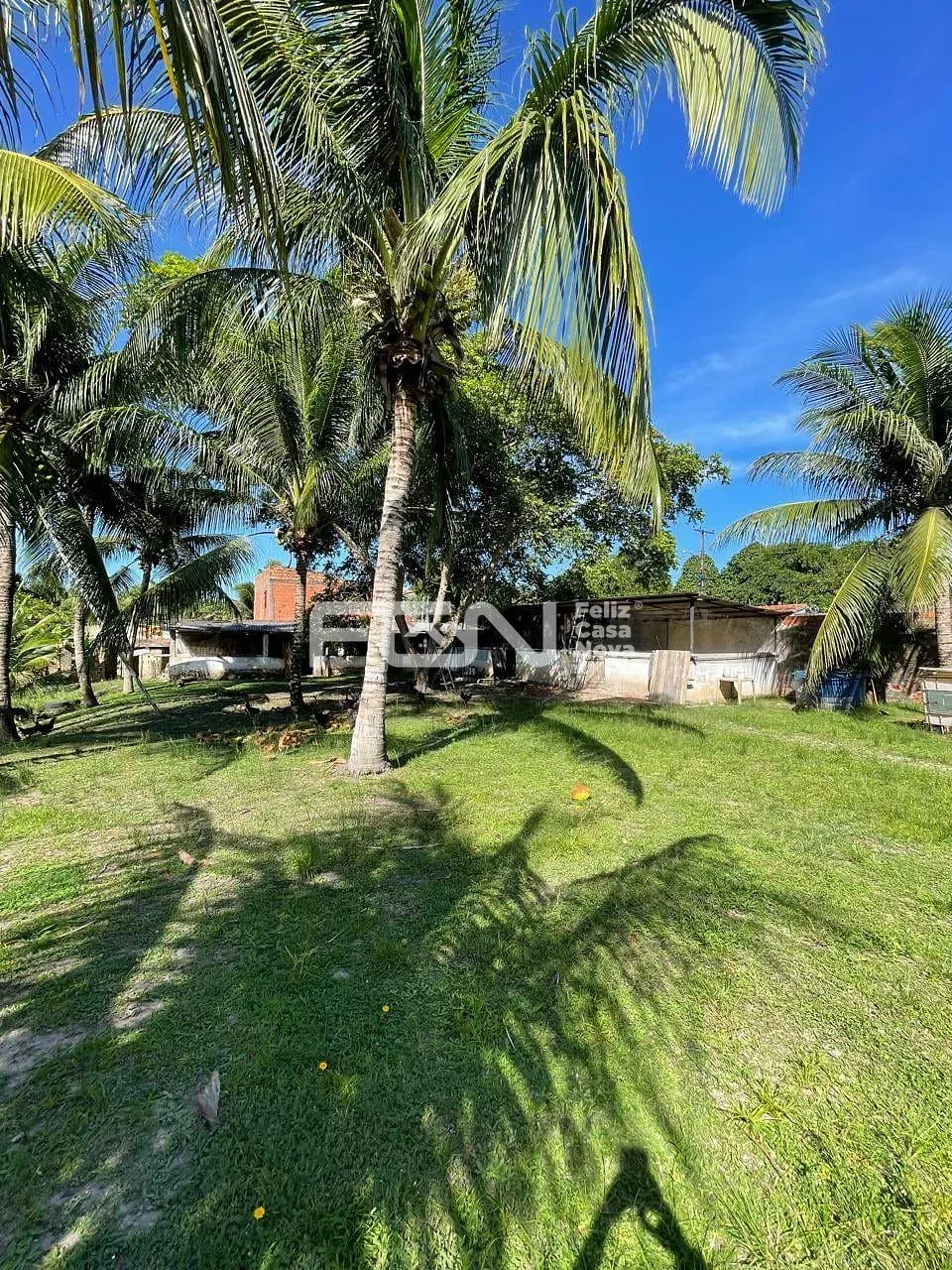 Casa, 2 quartos, 5000 m² - Foto 6
