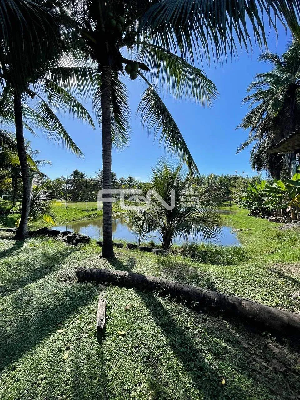 Casa, 2 quartos, 5000 m² - Foto 3