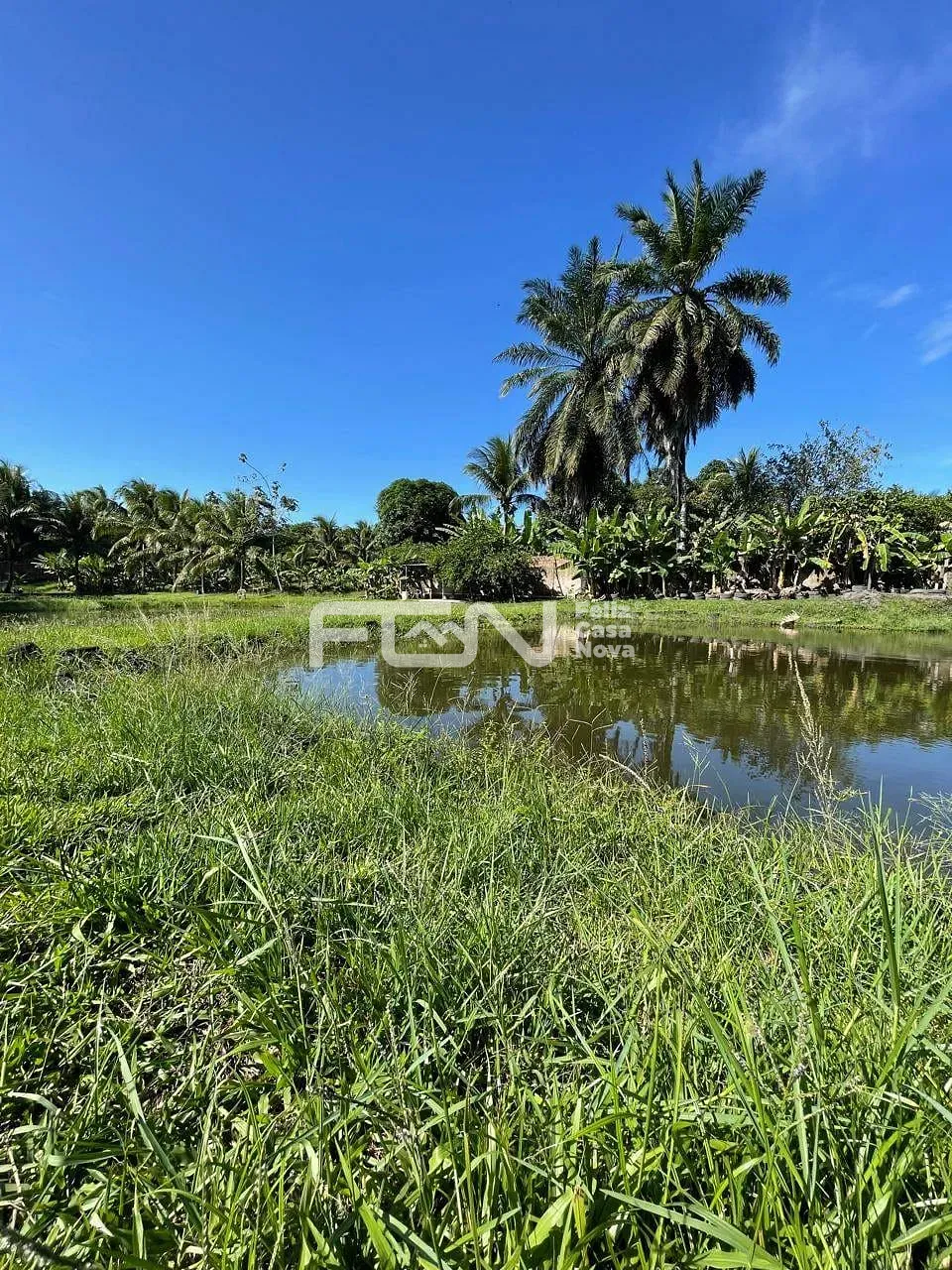 Casa, 2 quartos, 5000 m² - Foto 12