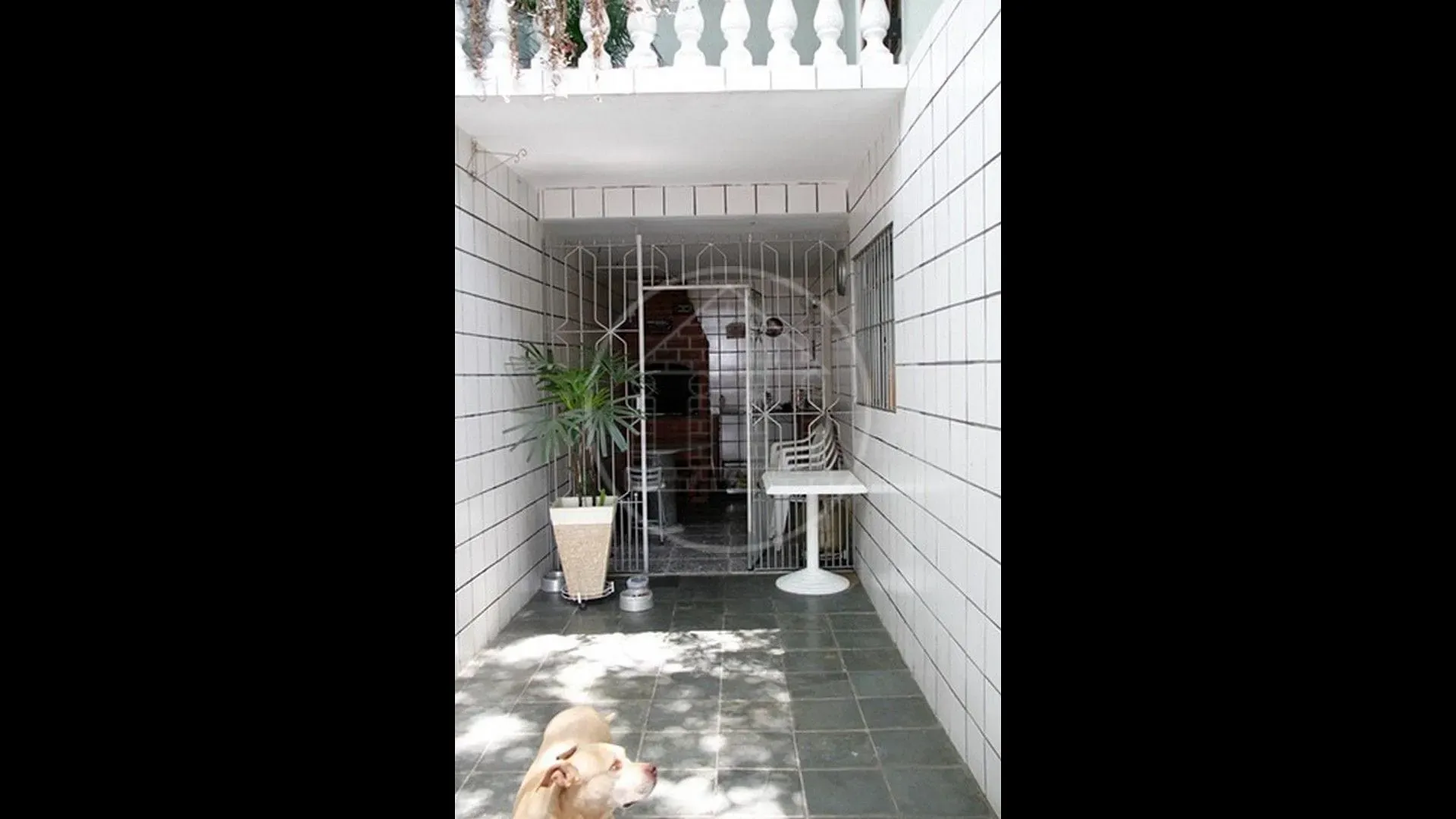 Casa, 3 quartos, 350 m² - Foto 12