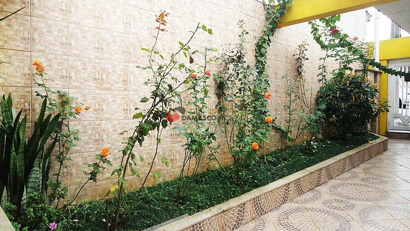 Casa à venda com 5 quartos, 10m² - Foto 2