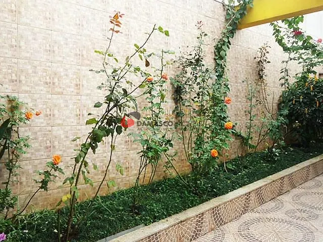 Casa com 237m² 5 quartos e 3 banheiros, à venda, no bairro Vila Aquilino em Santo André