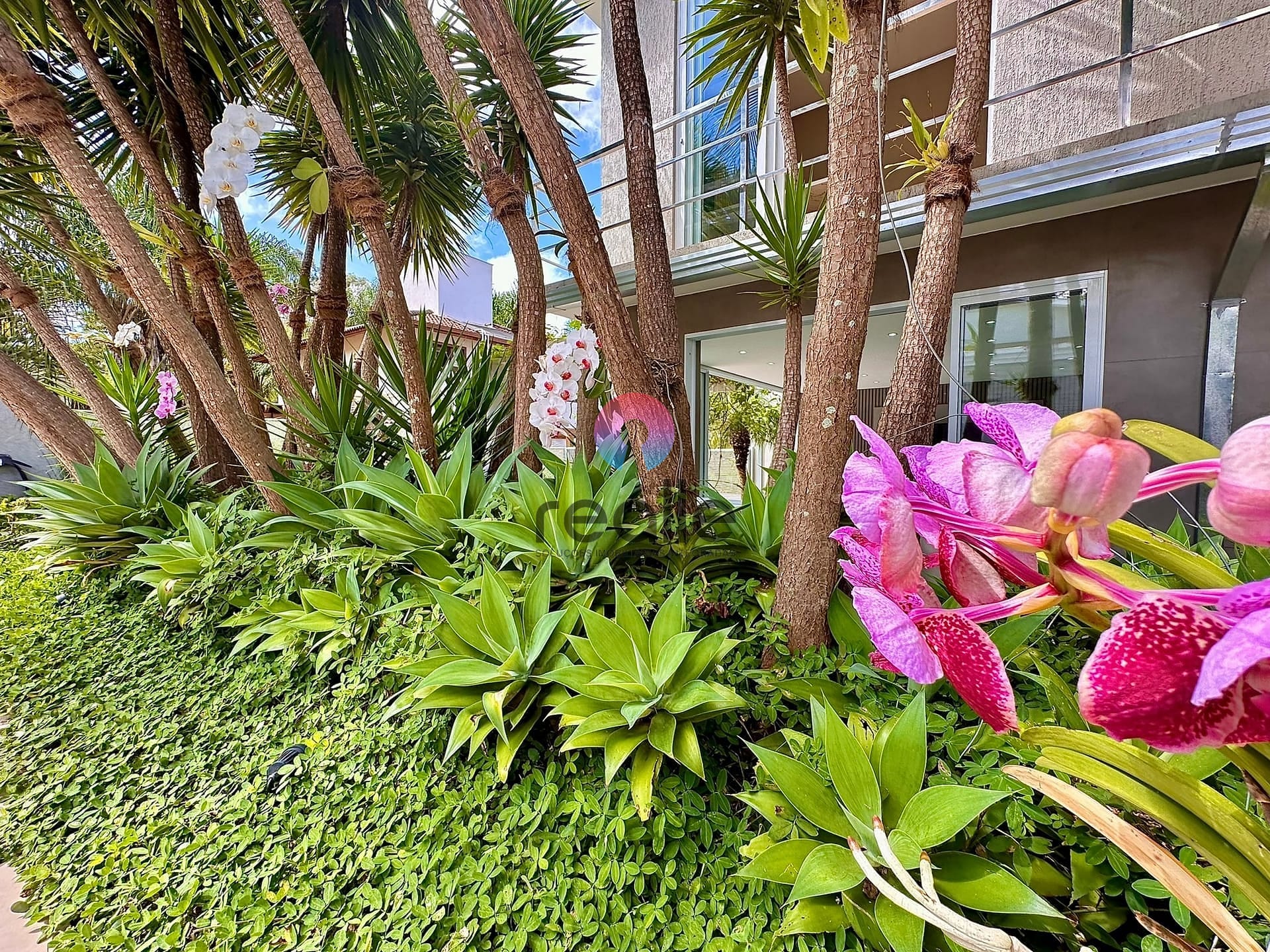 Casa, 5 quartos, 393 m² - Foto 52