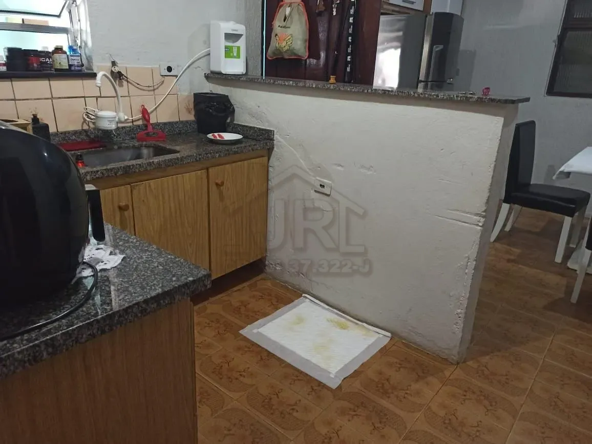 Casa, 3 quartos, 250 m² - Foto 6