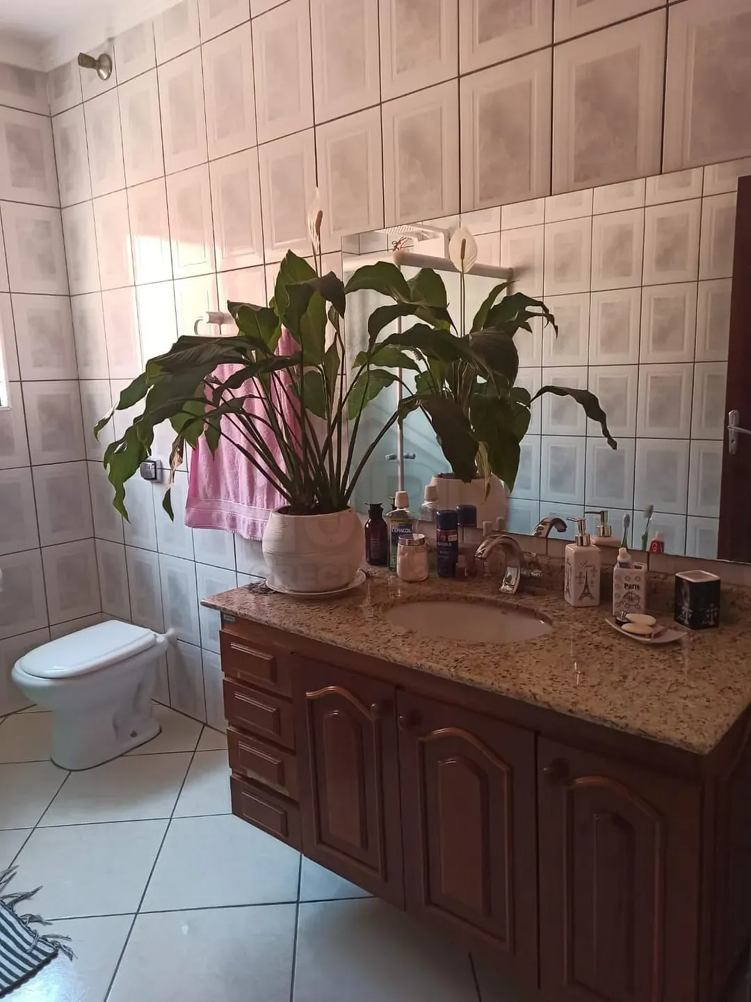 Casa, 3 quartos, 250 m² - Foto 9