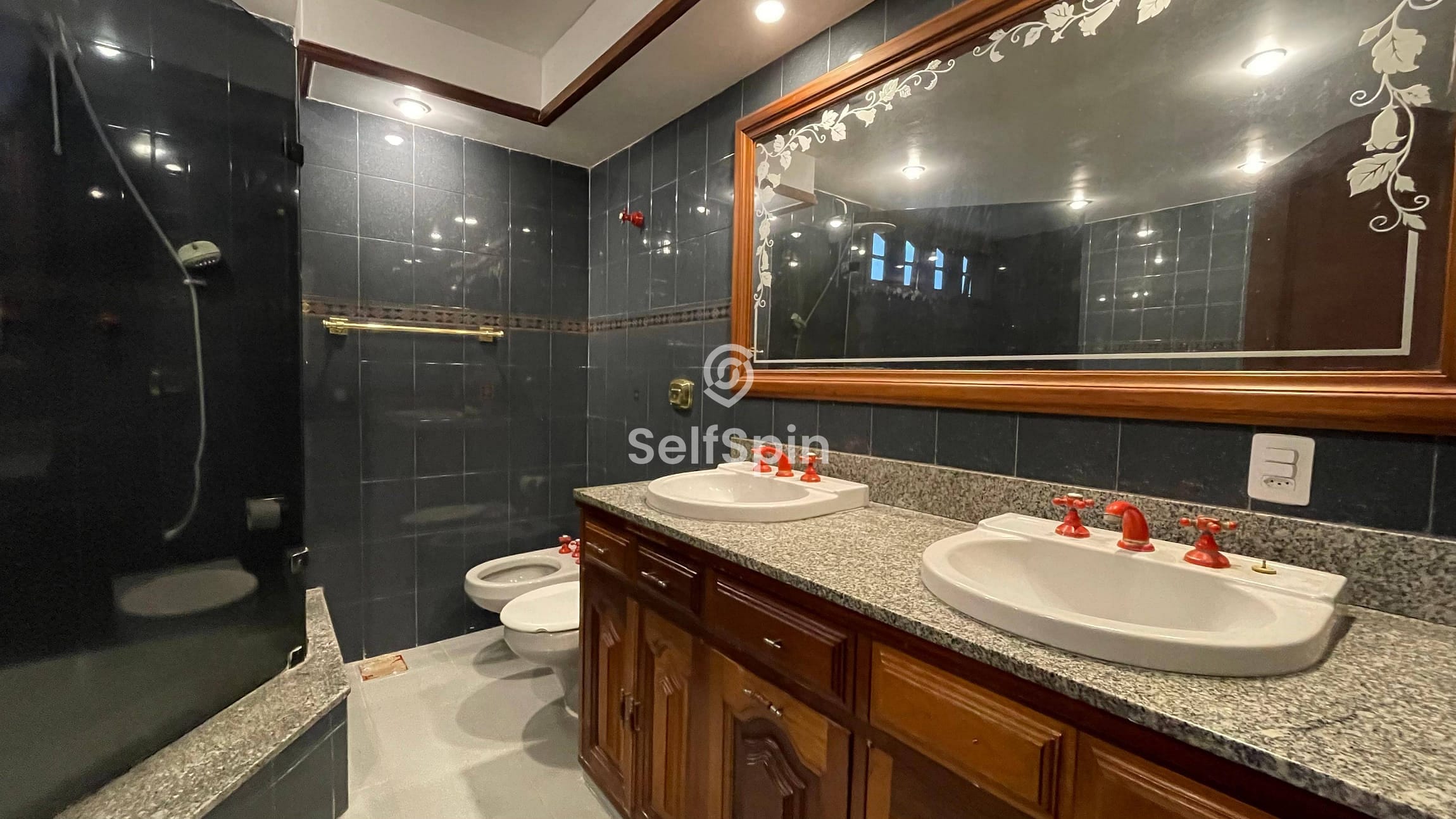 Casa, 4 quartos, 334 m² - Foto 14