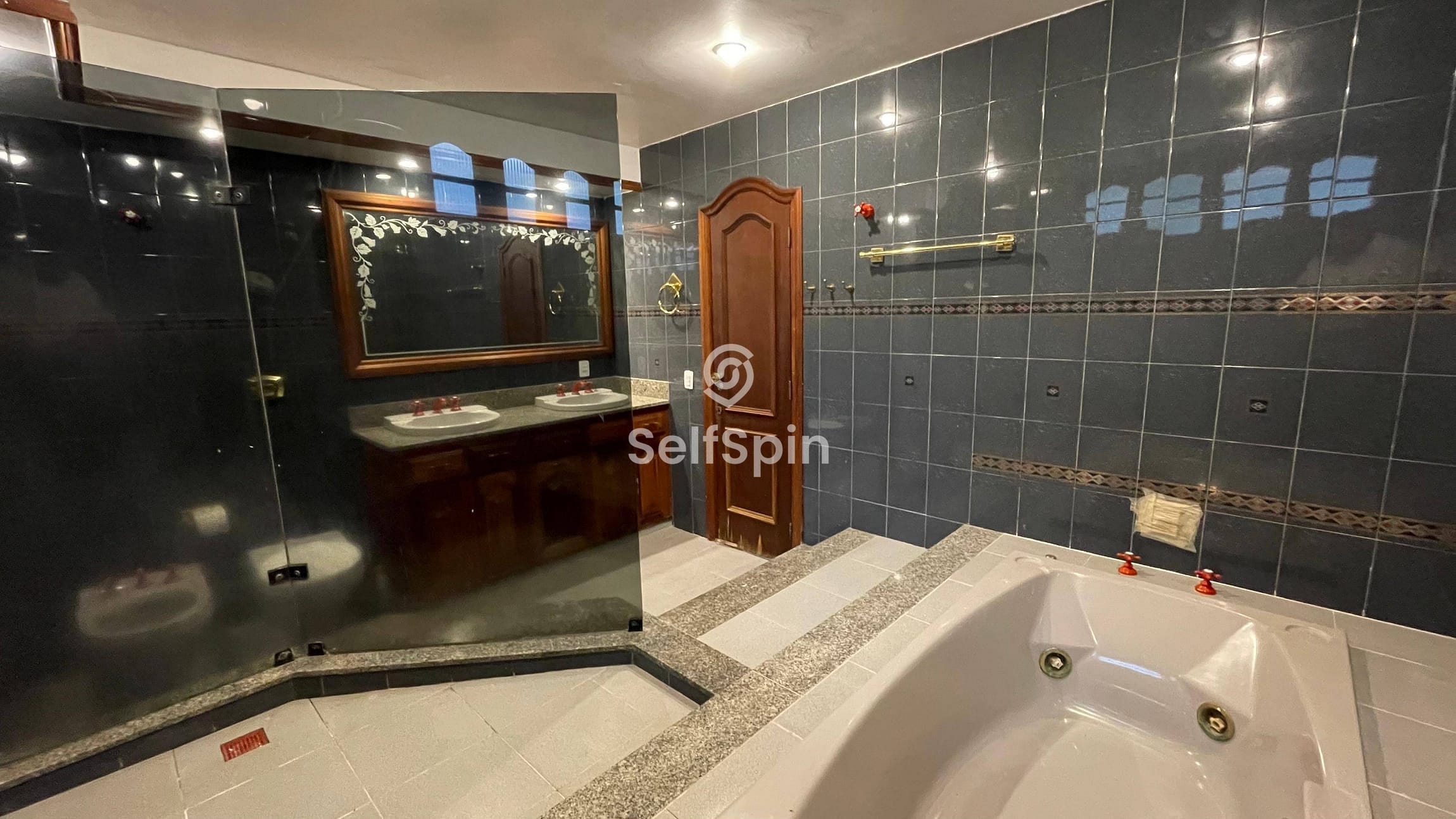 Casa, 4 quartos, 334 m² - Foto 15