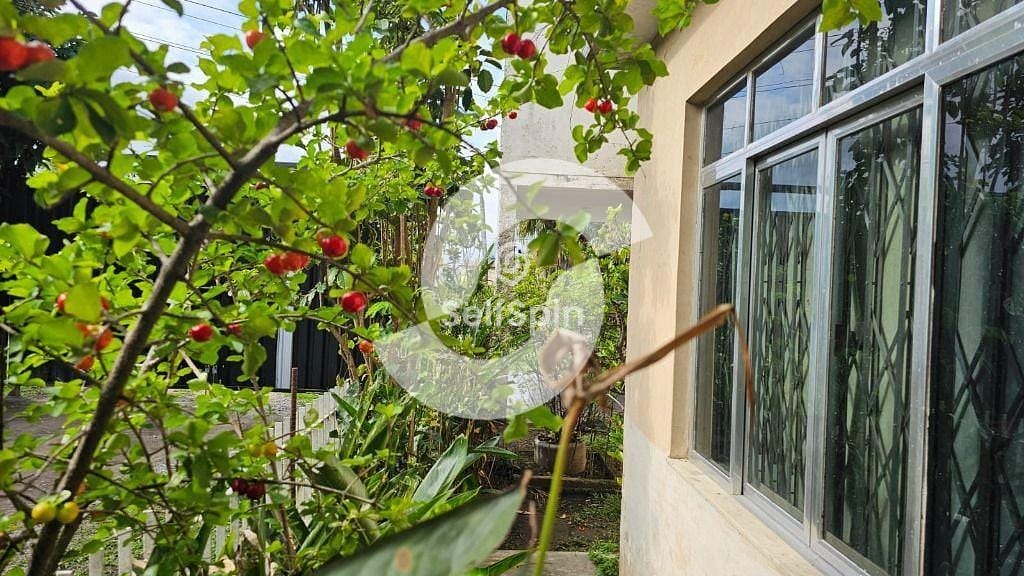 Casa, 1 quarto, 340 m² - Foto 17