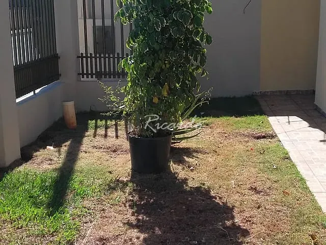Casa com 150m² 3 quartos e 2 banheiros, à venda, no bairro Jardim Primavera em Arapongas