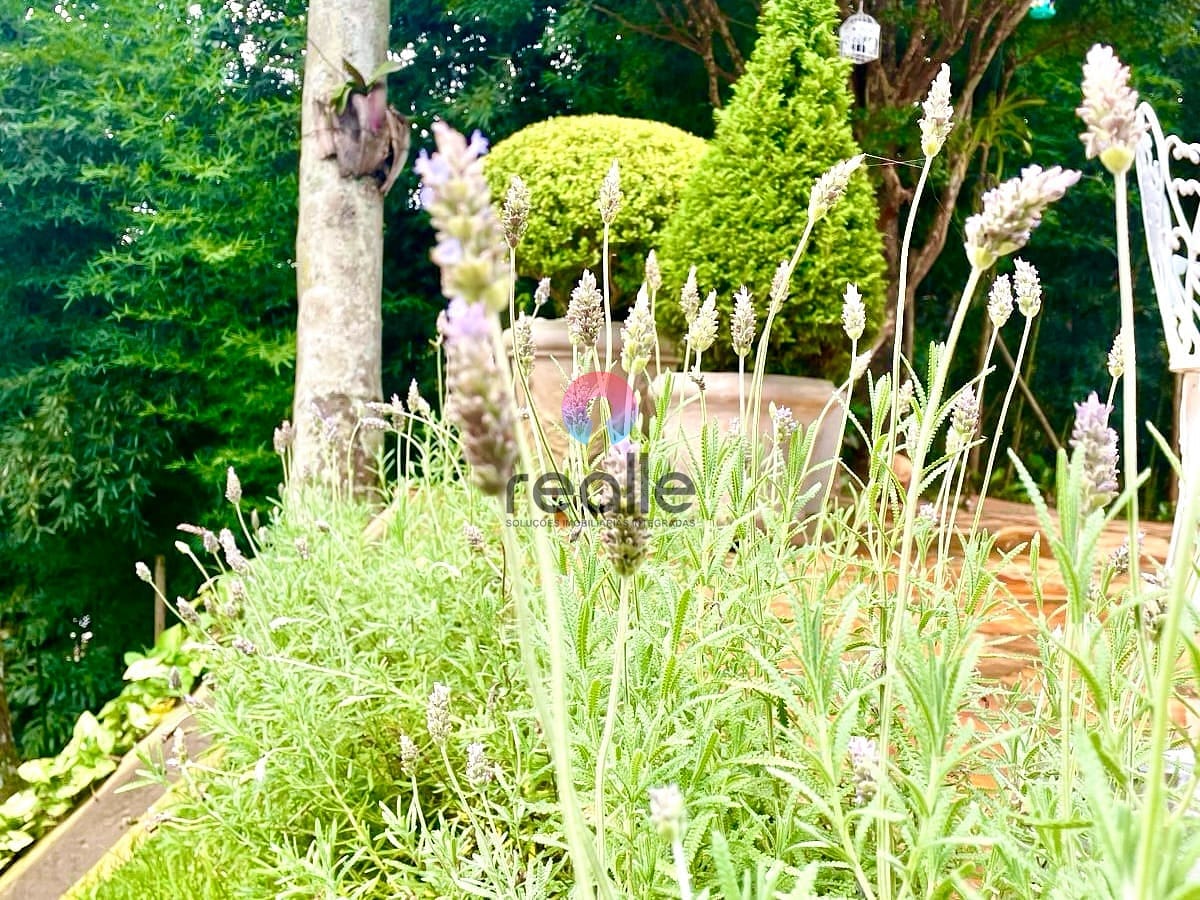 Casa, 5 quartos, 420 m² - Foto 37