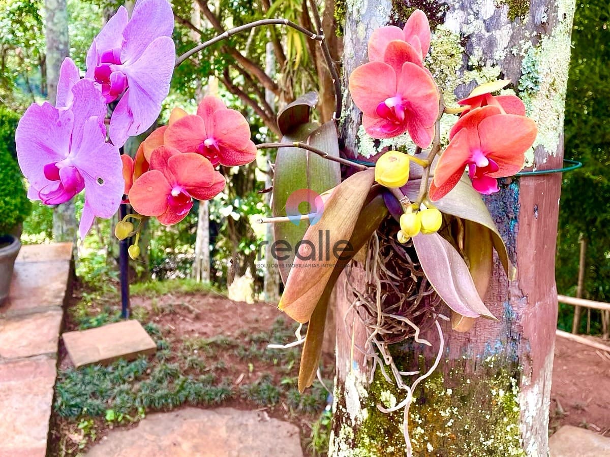 Casa, 5 quartos, 420 m² - Foto 35