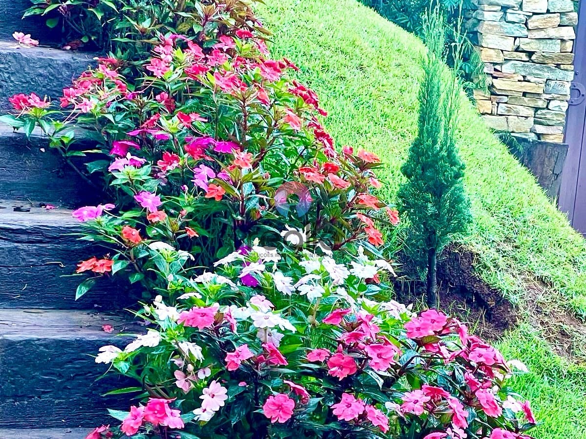 Casa, 5 quartos, 420 m² - Foto 38