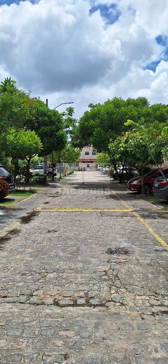 Casa, 4 quartos, 145 m² - Foto 51